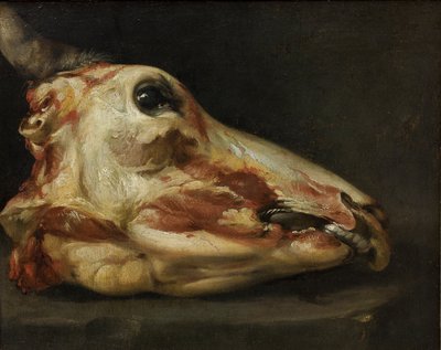 Skinned Head of a Young Bull by Felice Boselli